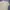 Japanese brand Casual Formal shirt Pria tan photo 6