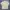 Japanese brand Casual Formal shirt Pria tan photo 5