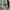 Japanese brand Streetwear Casual Formal shirt Pria green tan photo 4