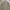 Japanese brand Streetwear Casual Formal shirt Pria green tan photo 6