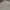Uniqlo Streetwear Casual Formal shirt Pria white green photo 3