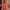 Gucci Luxury Shoulder bag Wanita red photo 4