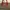 Gucci Luxury Shoulder bag Wanita red photo 2