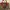 Gucci Luxury Shoulder bag Wanita red photo 1