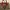 Gucci Luxury Shoulder Bag Wanita Red