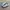 Adidas Indie Casual Sneakers Wanita white blue photo 1