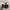 Adidas Indie Casual Sneakers Pria white black photo 4