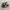 Adidas Indie Casual Sneakers Pria white black photo 1
