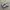 Adidas Indie Casual Sneakers Pria white black photo 1