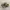 Adidas Indie Casual Sneakers Pria multicolor black yellow photo 1