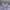 Casual Cardigan Wanita purple photo 2