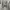 Carhartt Grunge Casual Jeans Pria white photo 2