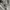 Carhartt Grunge Casual Jeans Pria white photo 3