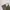 Japanese brand Minimalist Casual Formal pants Pria green photo 5