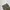 Japanese brand Minimalist Casual Formal pants Pria green photo 4