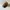 Von Dutch Streetwear Y2K Hat Pria multicolor photo 1