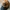 Von Dutch Streetwear Y2K Hat Pria multicolor photo 2