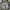 Oakley Y2K Gorpcore Bag Pria black gray photo 4