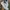 Puma Sportswear Sneakers Pria multicolor photo 3