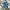 Nike Sportswear Casual Sneakers Pria white blue photo 4