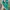 Adidas Goth Casual Casual shoe Pria green black photo 3