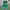 Adidas Goth Casual Casual shoe Pria green black photo 4