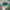 Adidas Goth Casual Casual shoe Pria green black photo 6