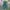 Adidas Casual Casual shoe Pria green photo 4