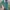 Adidas Casual Casual shoe Pria green photo 3