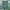 Adidas Casual Casual shoe Pria green photo 5
