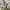 Nike Air Jordan Casual Sneakers Pria multicolor photo 1