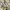 Adidas Casual Sneakers Pria white photo 1