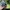 Nike Streetwear Sunglass Pria black gray photo 1