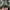 Columbia Streetwear Casual Puffer jacket Pria green photo 7