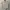 Vintage Minimalist Fleece Wanita tan cream photo 1