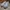 Adidas Casual Sneakers Wanita multicolor photo 2