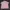 Uniqlo Minimalist Polo shirt Pria pink photo 1