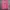 Pancoat Casual Sweatshirt Pria pink photo 1