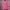 Pancoat Casual Sweatshirt Pria Pink