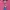 Pancoat Casual Sweatshirt Pria Pink