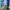 Streetwear Skater Casual shirt Pria multicolor photo 5