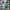 Streetwear Skater Casual shirt Pria multicolor photo 2