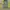 Montbell Streetwear Gorpcore Track jacket Pria yellow photo 3