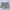 American Eagle Lolita Mini skirt Wanita cream photo 2
