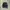 Champion Streetwear Windbreaker Pria navy photo 1