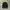 Champion Streetwear Bomber jacket Pria black photo 1