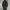 Champion Streetwear Bomber jacket Pria black photo 8