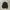 Champion Streetwear Bomber jacket Pria black photo 5