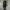 Champion Streetwear Bomber jacket Pria black photo 7
