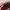 Louis Vuitton Minimalist Casual Handbag Wanita brown photo 3